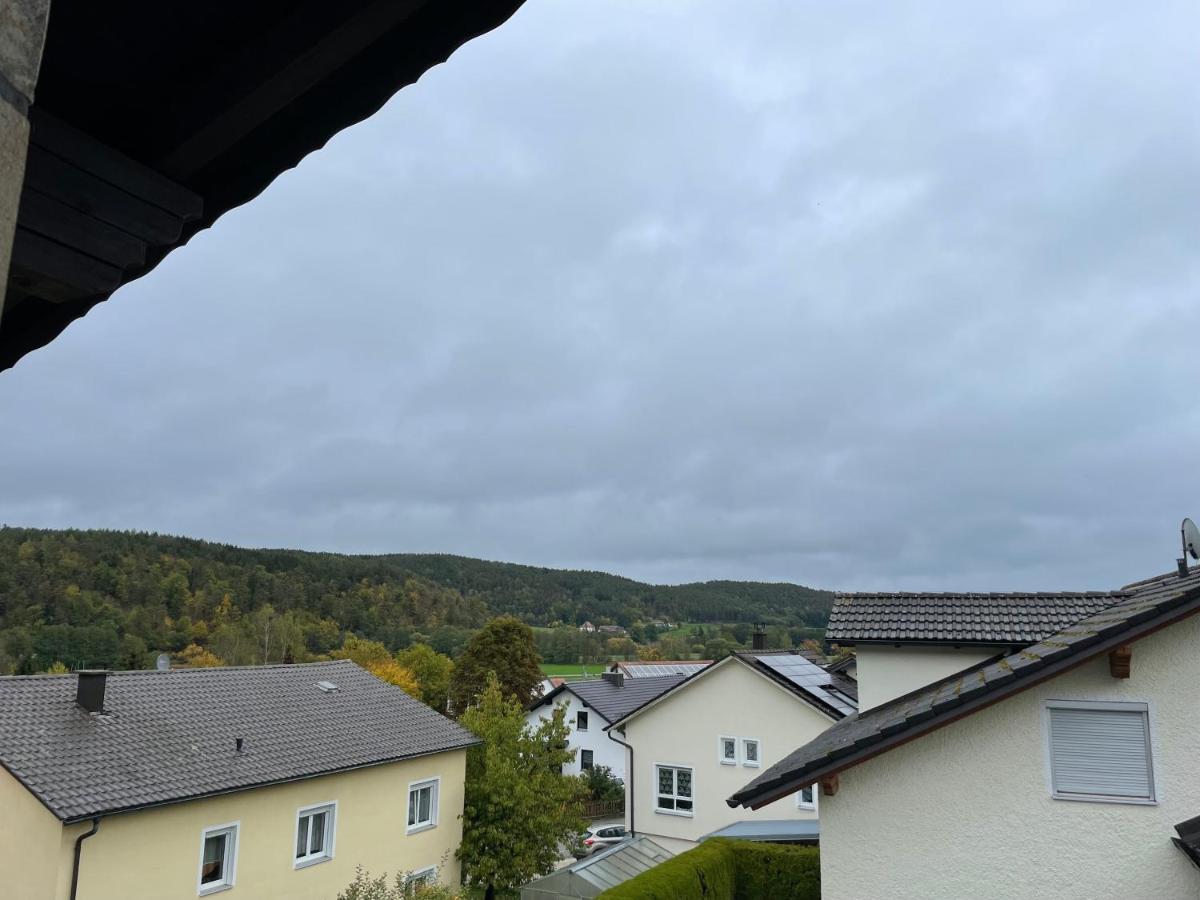 Modernes Apartment Mit Top Ausstattung Und Kamin Im Oberpfaelzer Seenland Nittenau Екстериор снимка