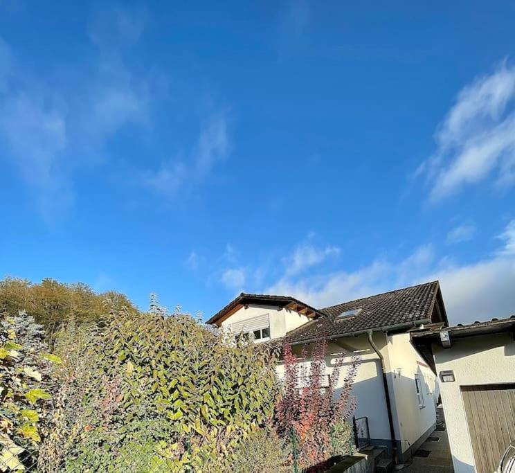 Modernes Apartment Mit Top Ausstattung Und Kamin Im Oberpfaelzer Seenland Nittenau Екстериор снимка
